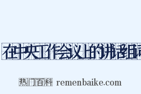 在中央工作会议上的讲话组词是什么意思的图片